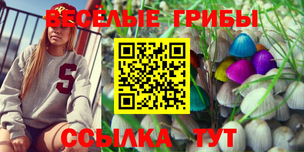 Псилоцибиновые грибы Magic Shrooms  Вход с VPN  Воркута  купить наркотики цена  Галлюциногенные грибы Magic Shrooms 