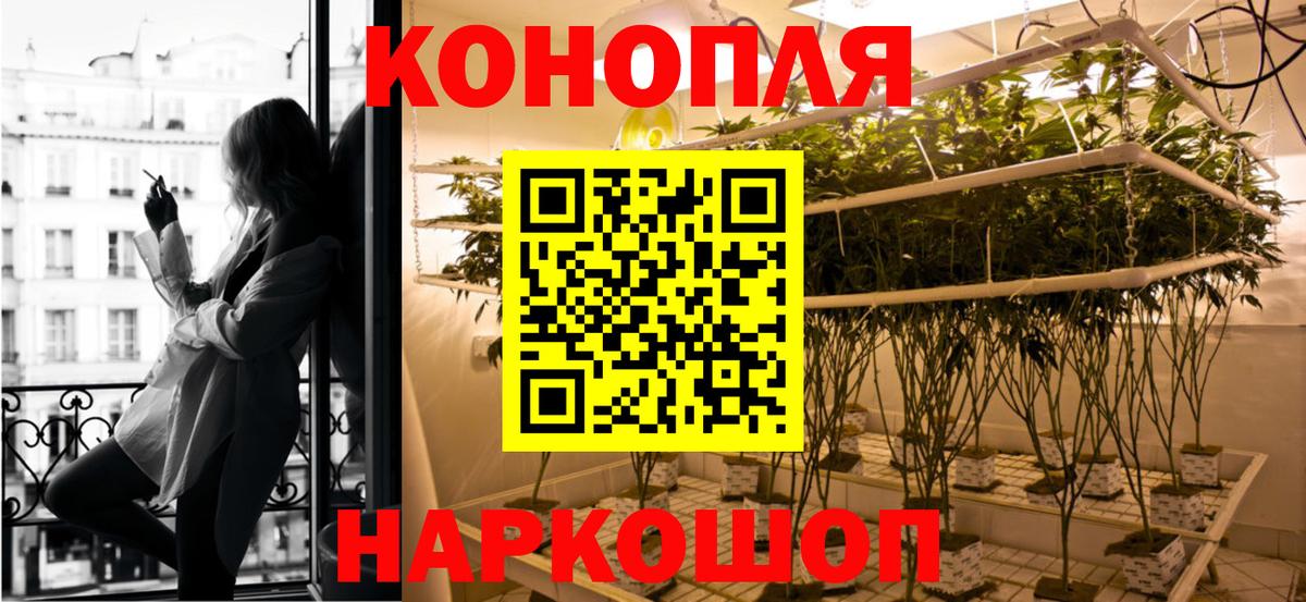Каннабис OG Kush Воркута